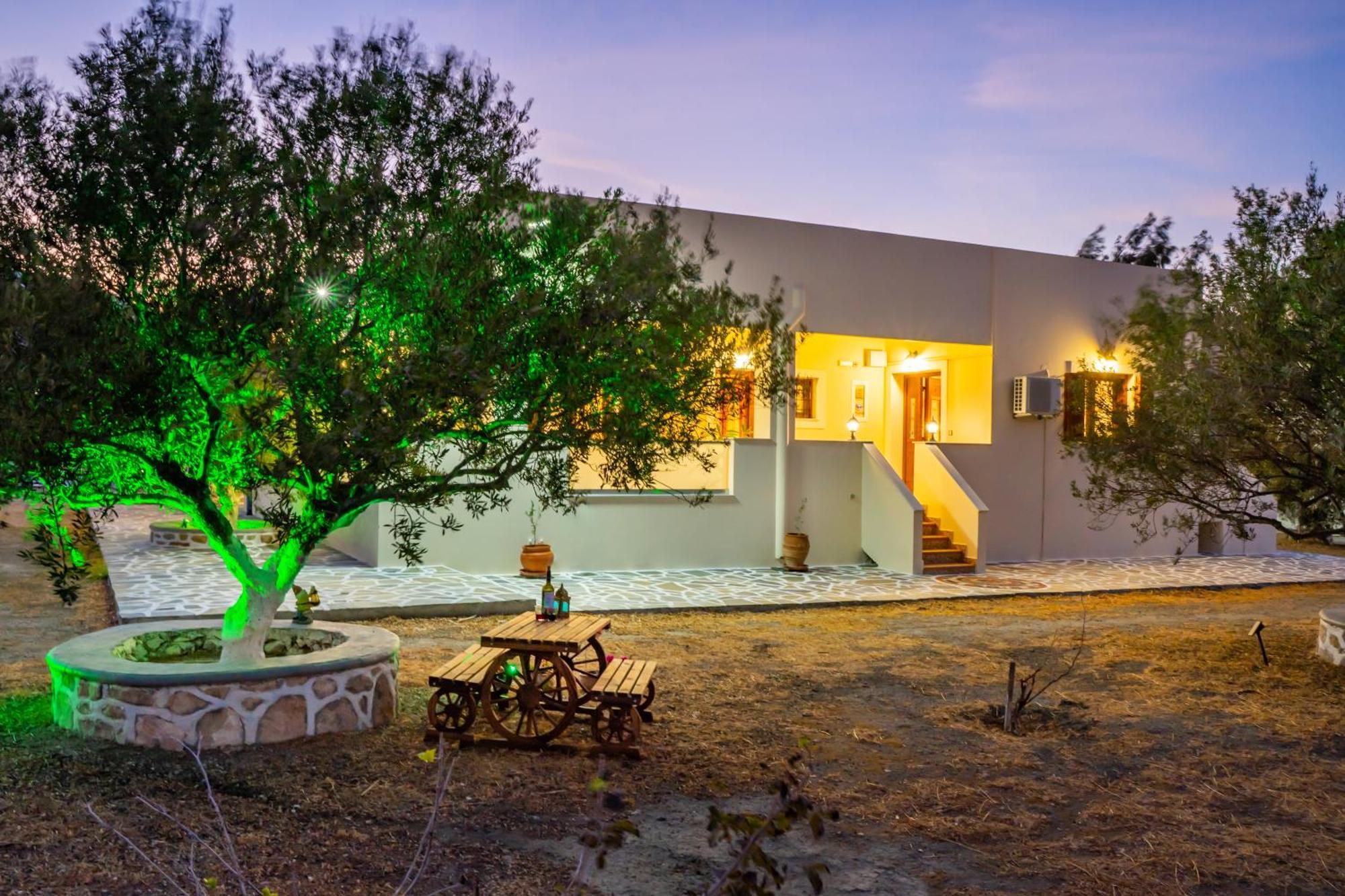 Olive Studios Karpathos Studio #4 외부 사진