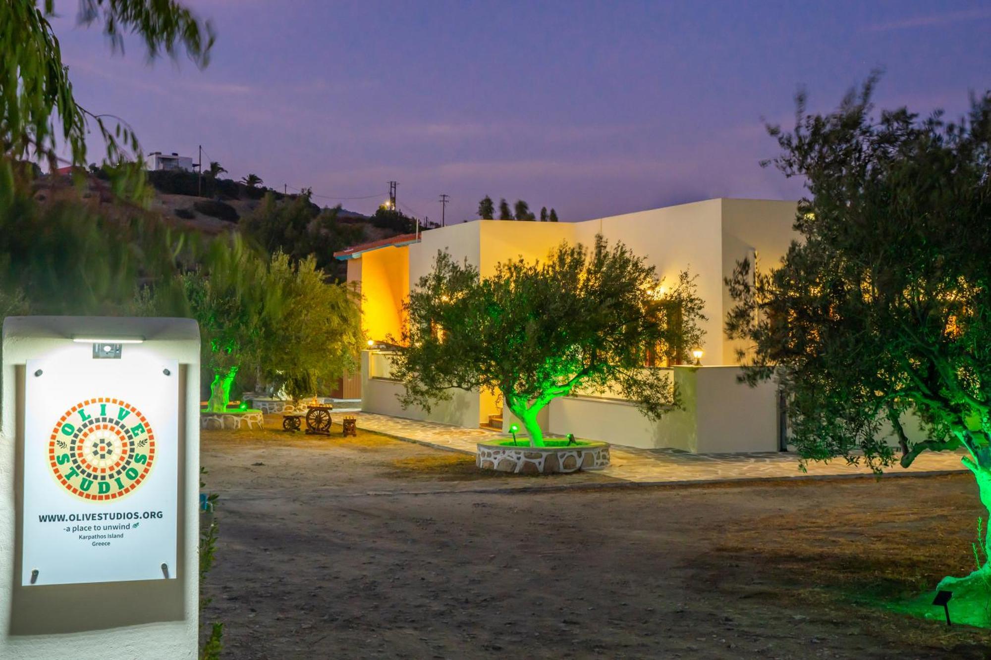 Olive Studios Karpathos Studio #4 외부 사진